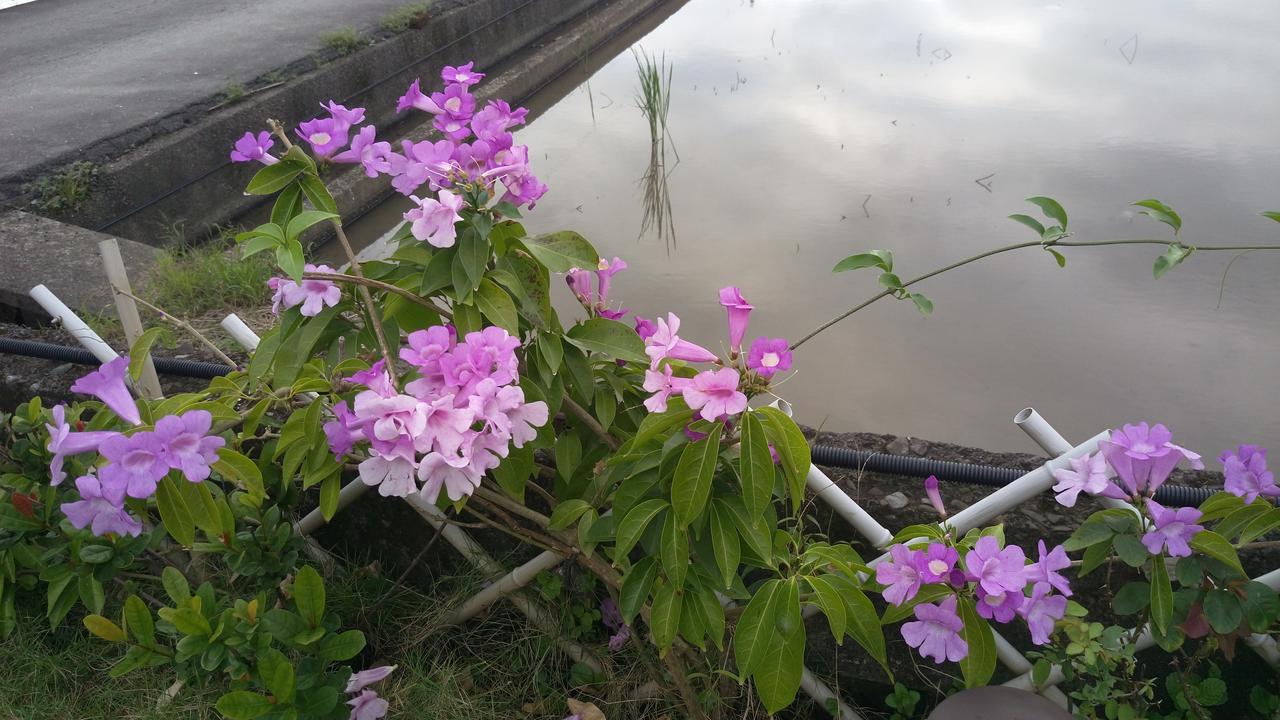 ทินโต เบดแอนด์เบรคฟาส Apartment Yilan ภายนอก รูปภาพ